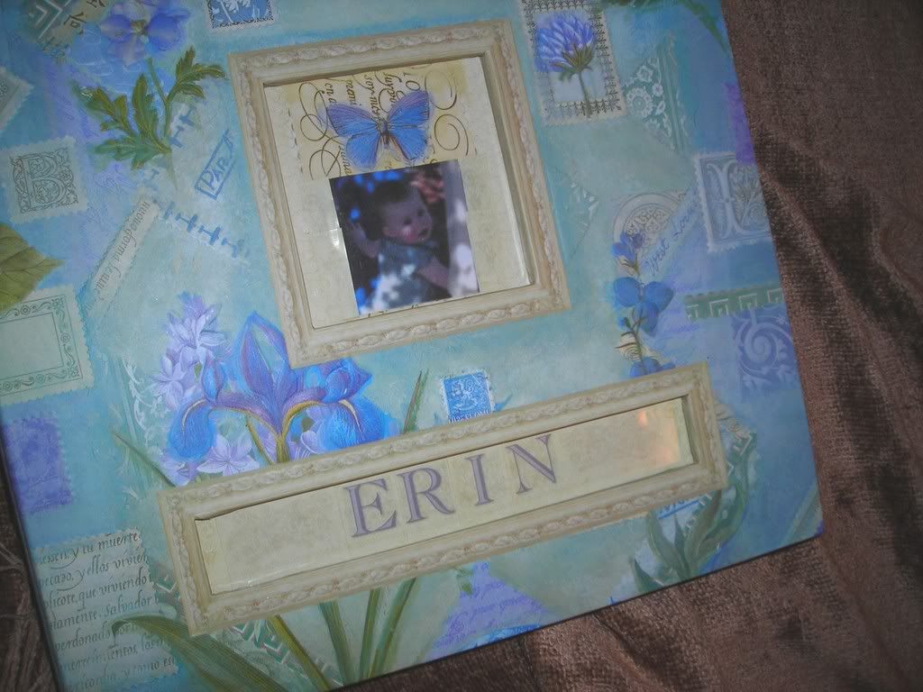 Erin's Book