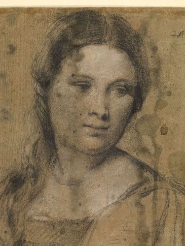 Study of a Young Woman (c1510) by Titian Study of a Young Woman (c1510) by Titian