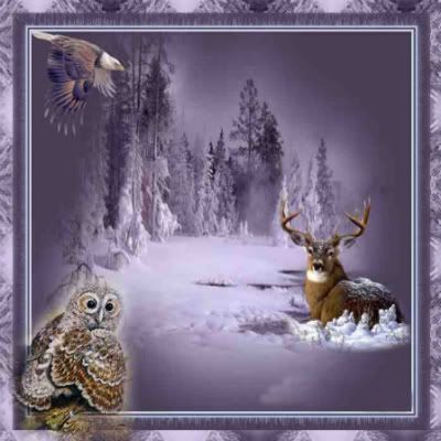 deer in winter Pictures, Images and Photos