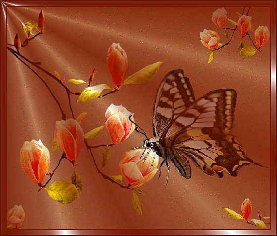 Butterfly_Header322.jpg picture by LilithMaisImagens