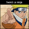 many ninjas