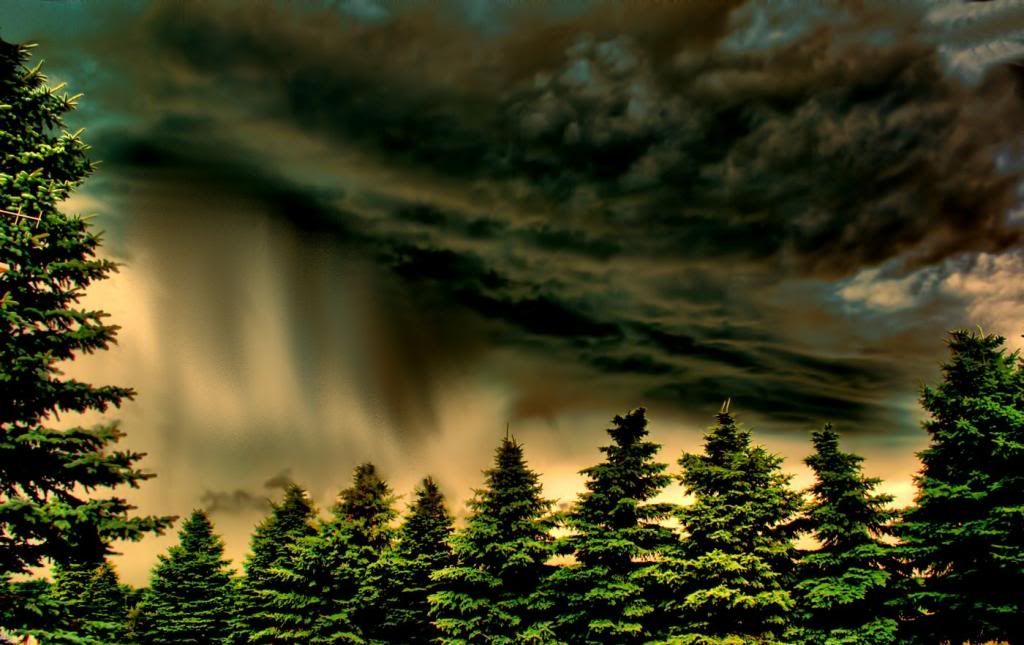 herecomestherain1400-1.jpg