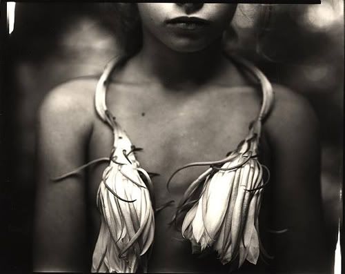 Sally Mann Pictures, Images and Photos