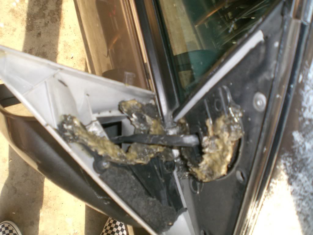 side mirror fell off Toyota Nation Forum
