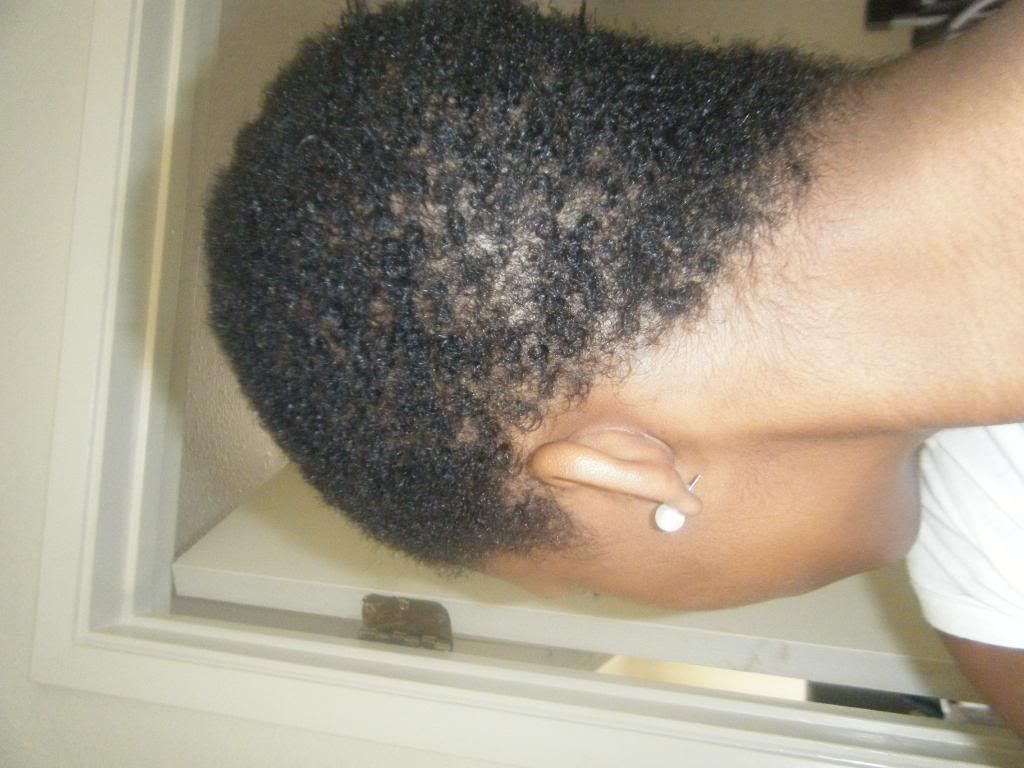 BigChopNewOrleans006.jpg