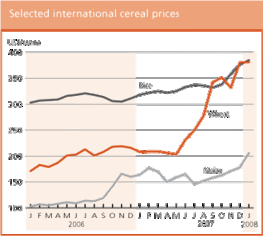 World Cereal Production
