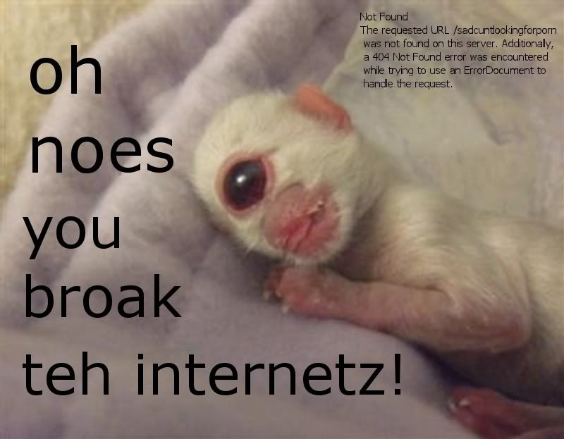 http://i243.photobucket.com/albums/ff314/wilbercuntlicker/kitty-1.jpg