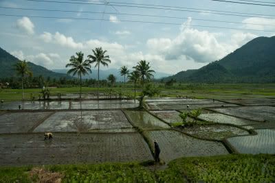 Landschap in Java gezien vanuit de trein