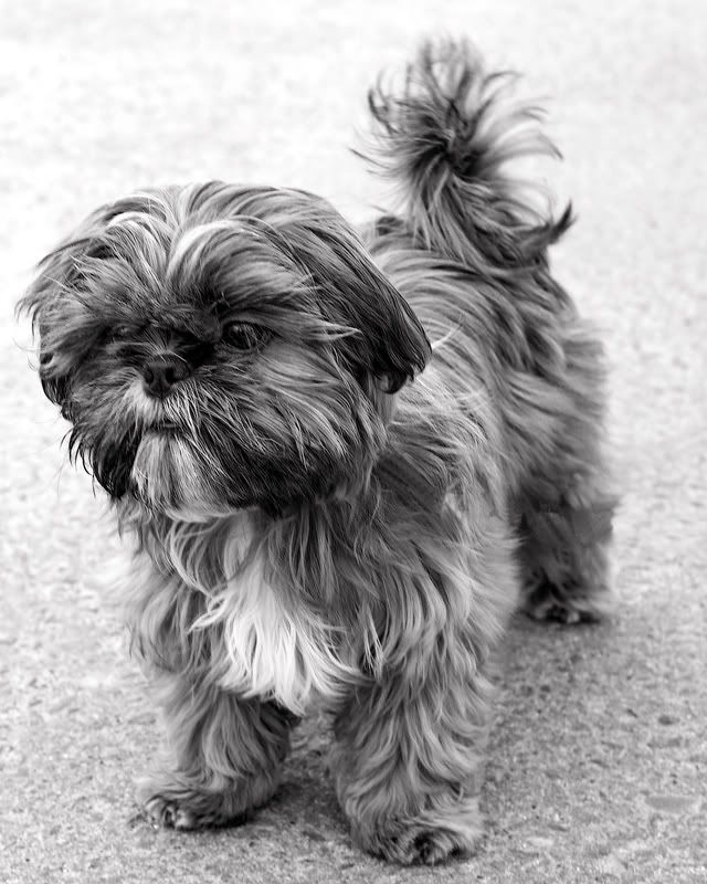 IMAGE: http://i243.photobucket.com/albums/ff44/genodm/OV/3D3X1487-Edit.jpg