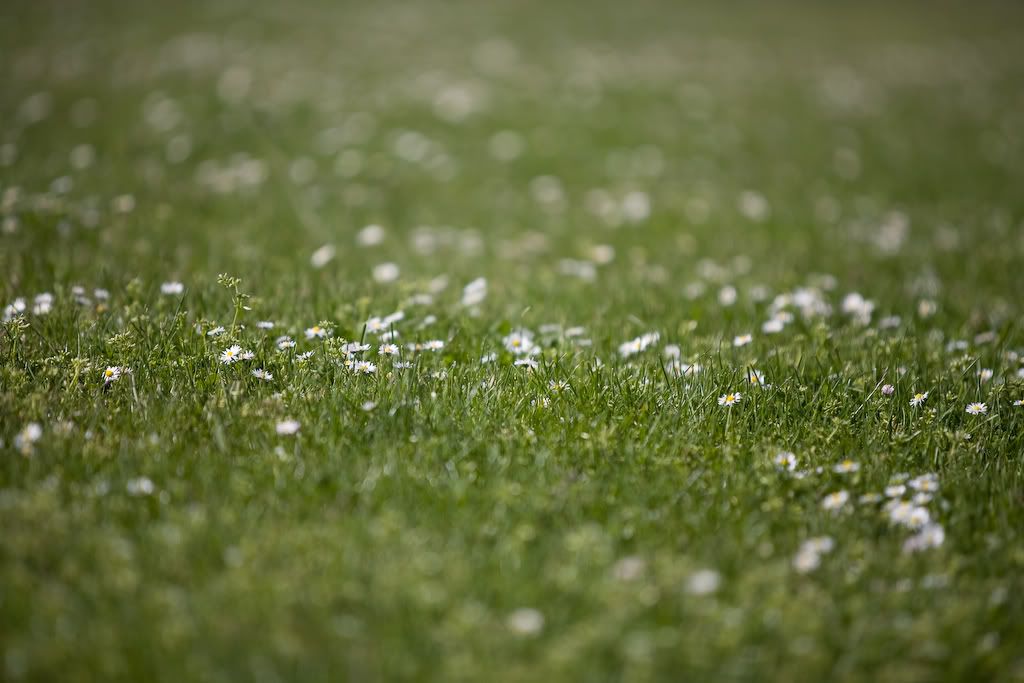 IMAGE: http://i243.photobucket.com/albums/ff44/genodm/Photowalks/IMG_2214.jpg