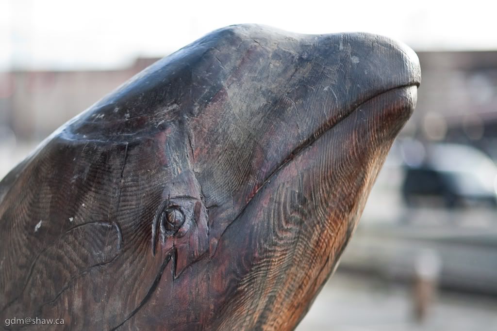 IMAGE: http://i243.photobucket.com/albums/ff44/genodm/Photowalks/Seattle/IMG_7359.jpg