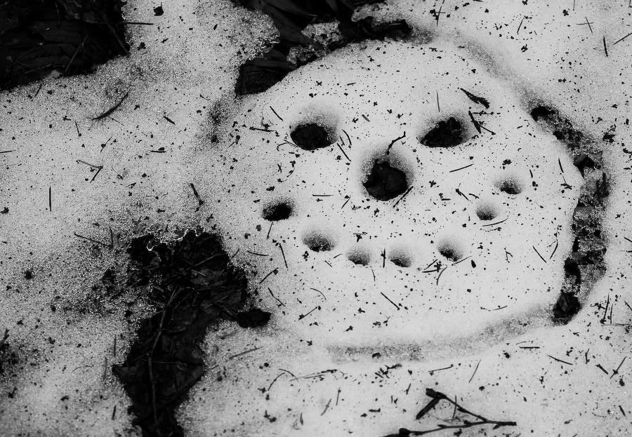 IMAGE: http://i243.photobucket.com/albums/ff44/genodm/Snow/IMG_9821.jpg