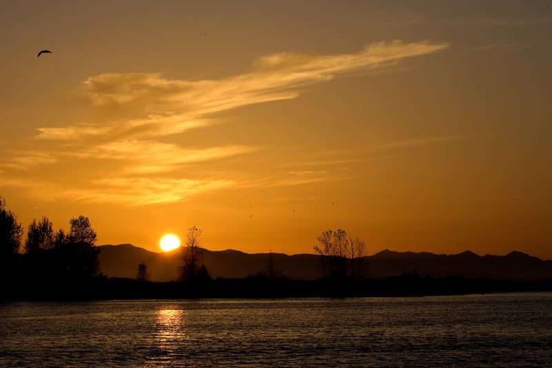 IMAGE: http://i243.photobucket.com/albums/ff44/genodm/Steveston%2010-08/3D3X5048-Edit.jpg