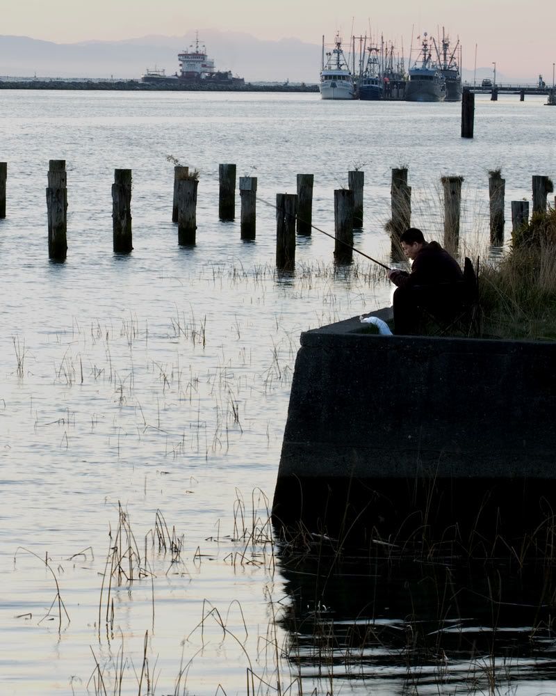 IMAGE: http://i243.photobucket.com/albums/ff44/genodm/Steveston%2010-08/3D3X5056-Edit.jpg