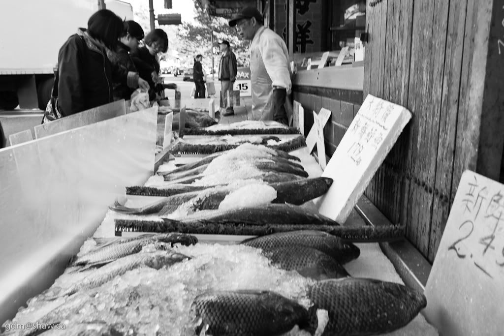 IMAGE: http://i243.photobucket.com/albums/ff44/genodm/Street/Chinatown/IMG_0036.jpg