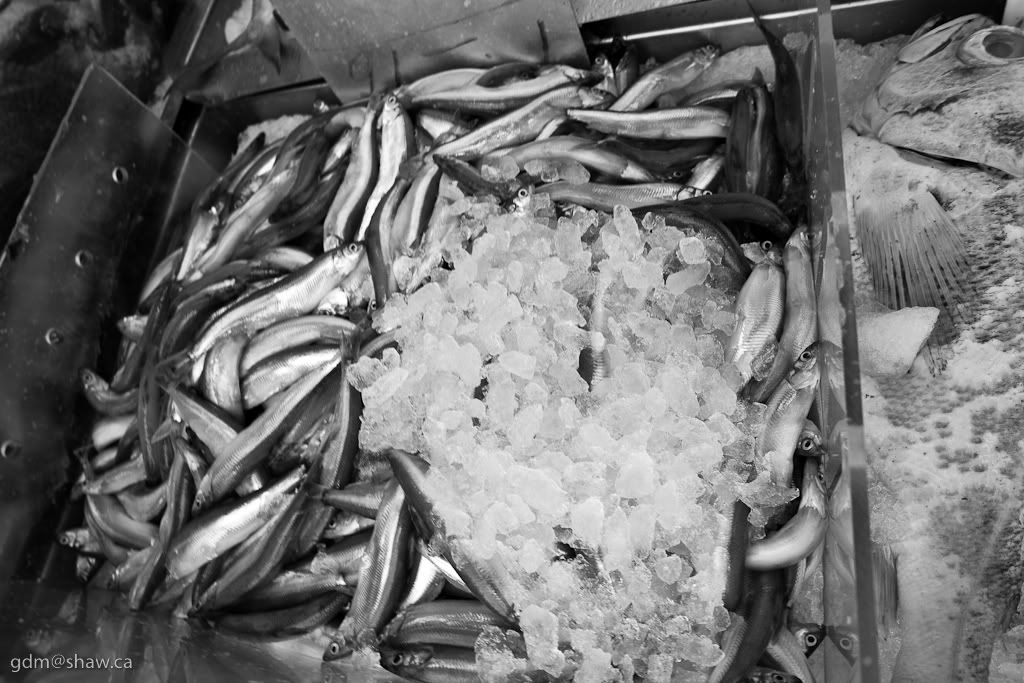 IMAGE: http://i243.photobucket.com/albums/ff44/genodm/Street/Chinatown/IMG_0037.jpg