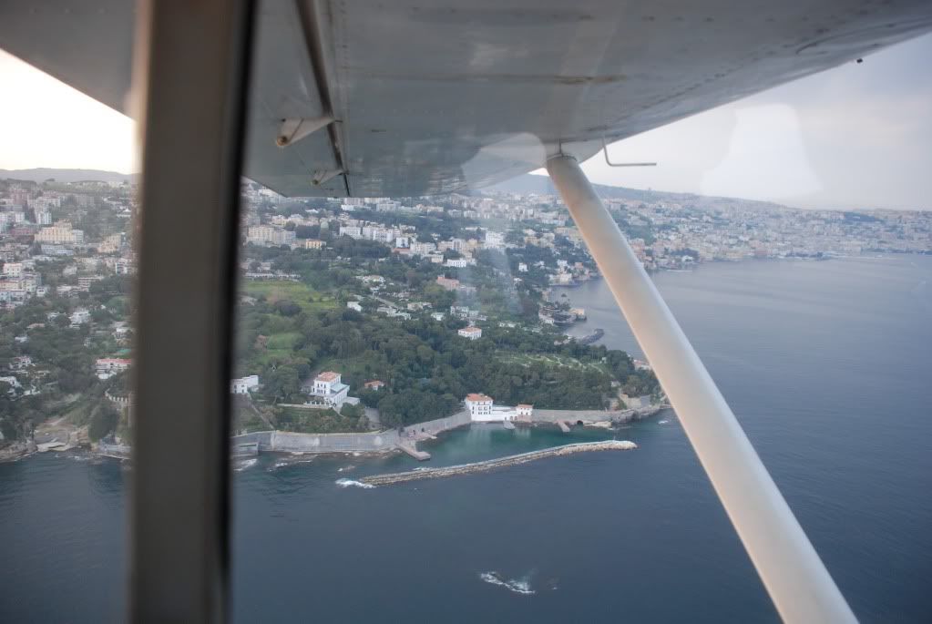 DSC_1411.jpg