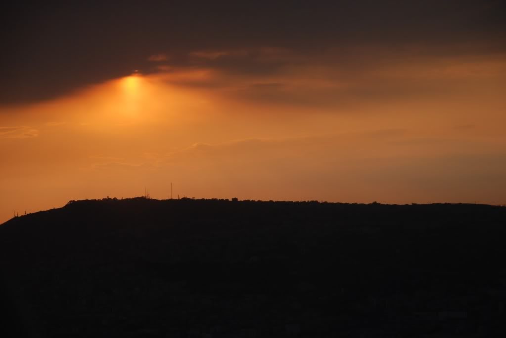 DSC_1490.jpg