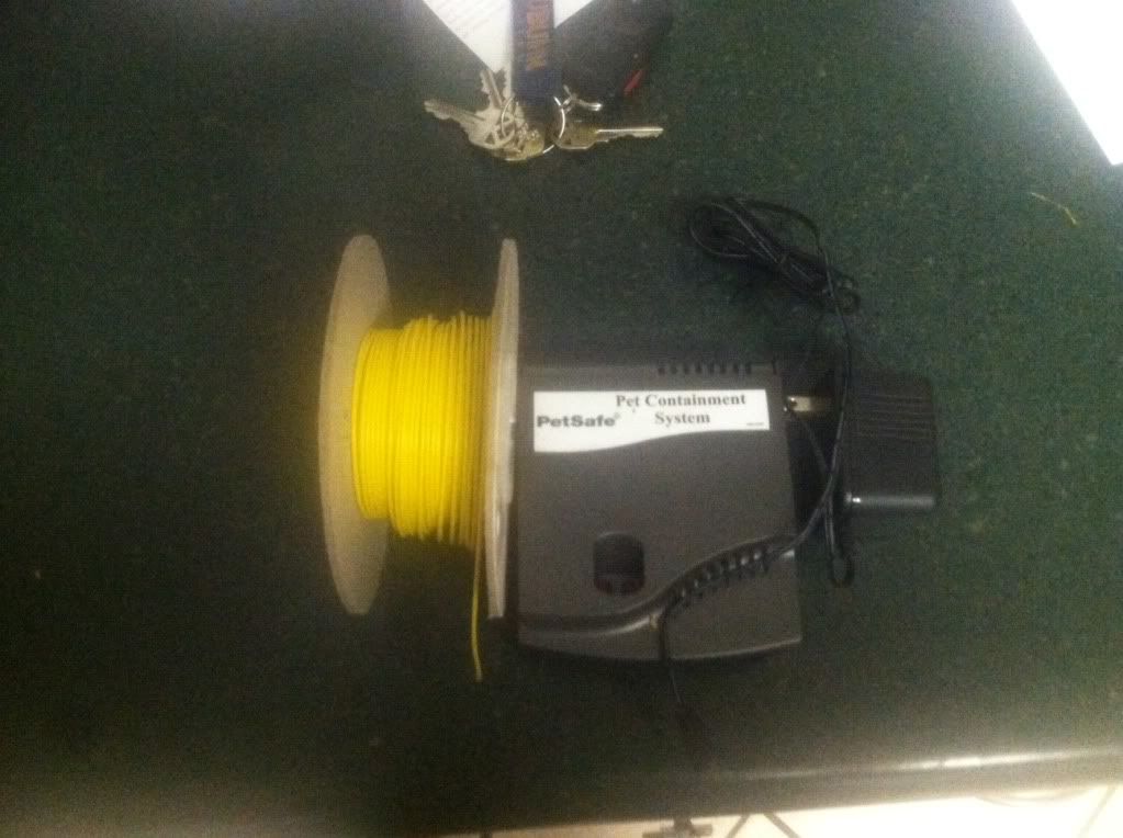 Underground Pet Containment System 50 Pensacola Fishing Forum