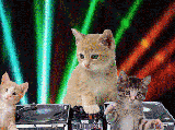 th_cat.gif