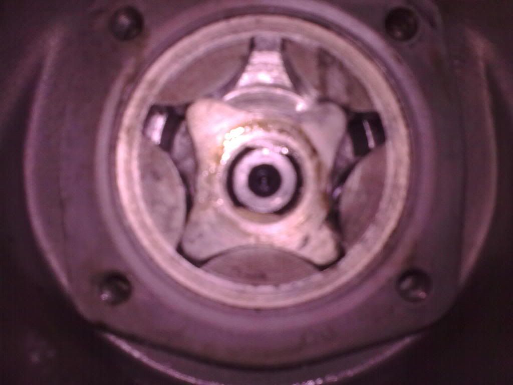 21032010_008.jpg