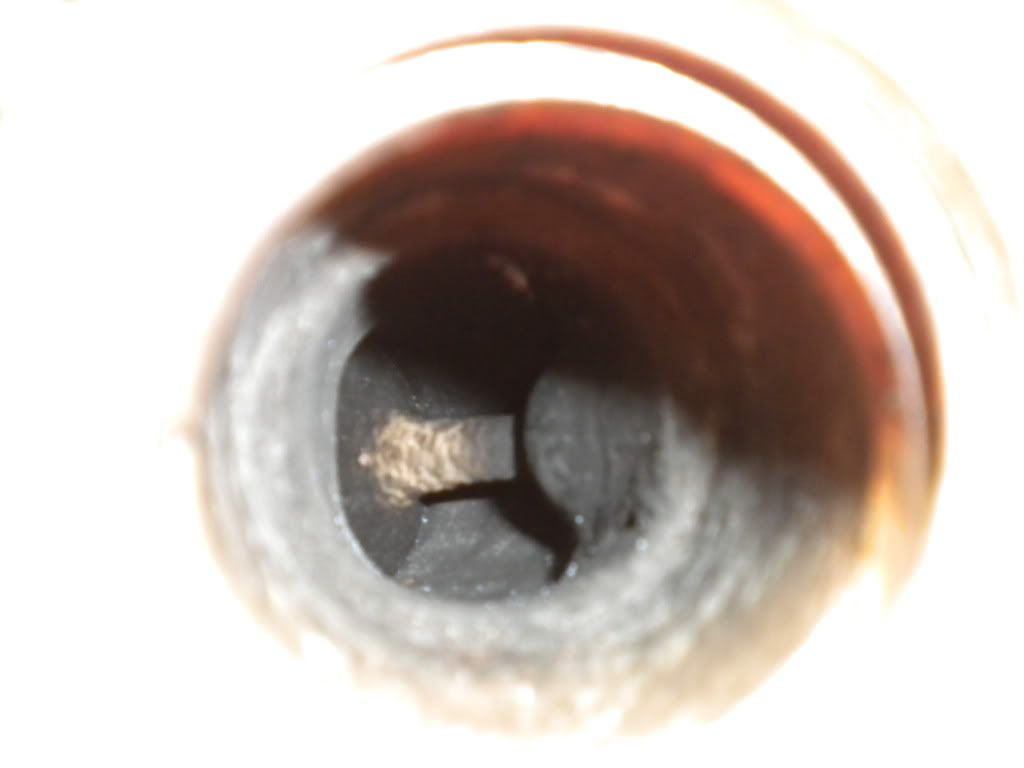 Imagen067.jpg