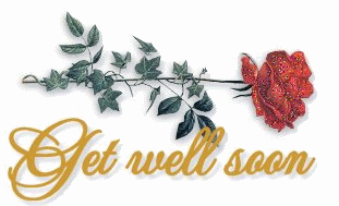 Get Well Soon Rose Pictures, Images and Photos