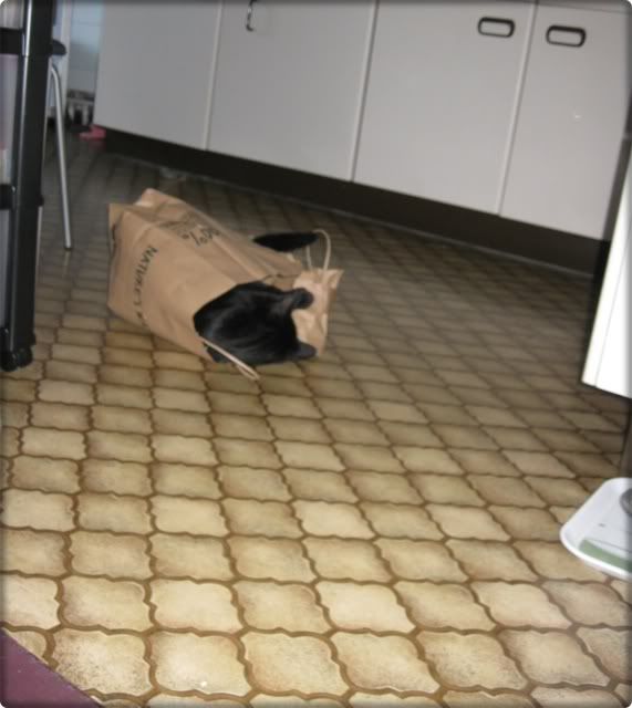 Geplaatste afbeelding
