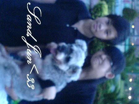 Photo Sharing and Video Hosting at Photobucket