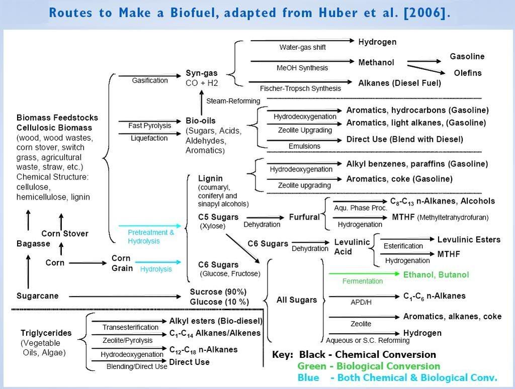 NSF releases report on next-generation hydrocarbon biofuels; finds ...