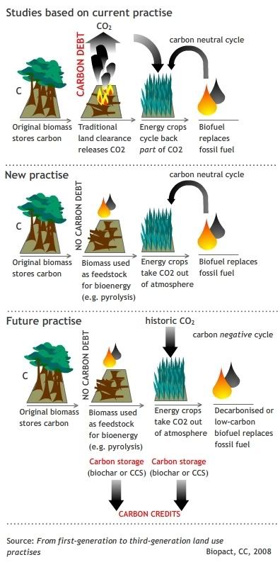 New land use techniques boost benefits of biofuels