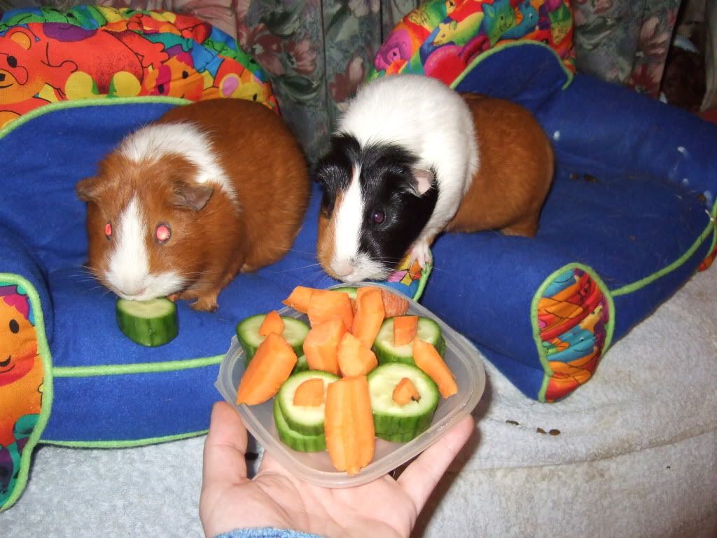 DSCF3825.jpg