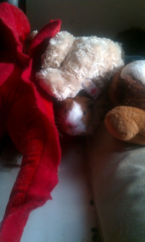 IMAG01142.jpg