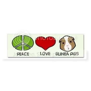 peacelovegps.jpg