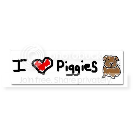piggies1.jpg