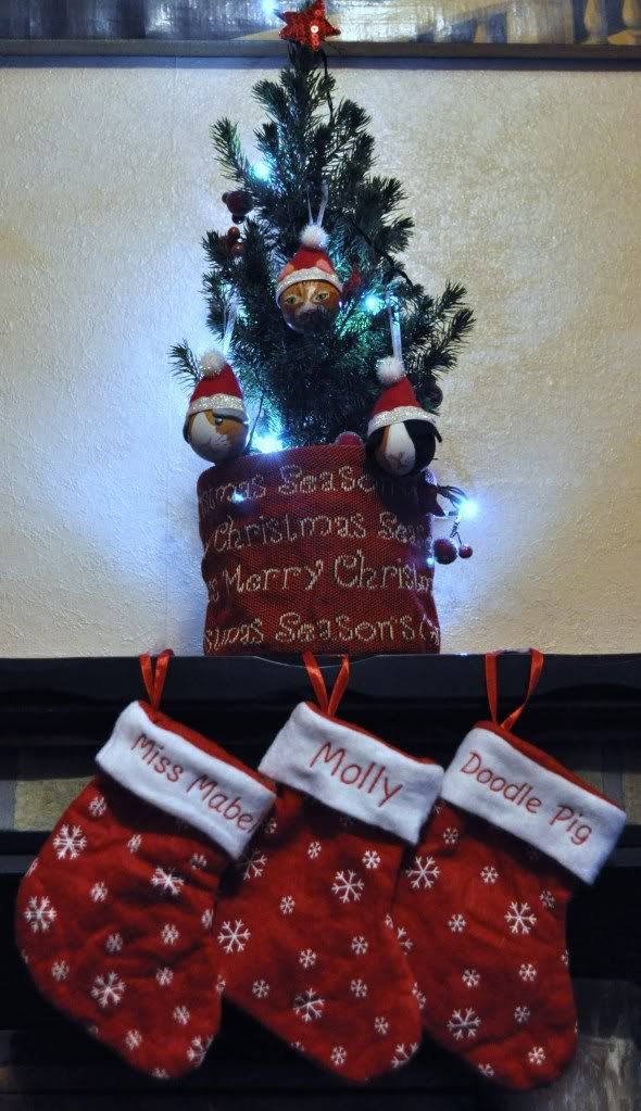 tree1.jpg