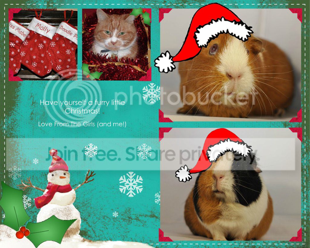 xmascard1_zpsd48fcce6.jpg